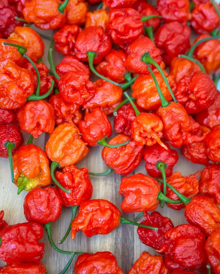 Carolina Reaper 
