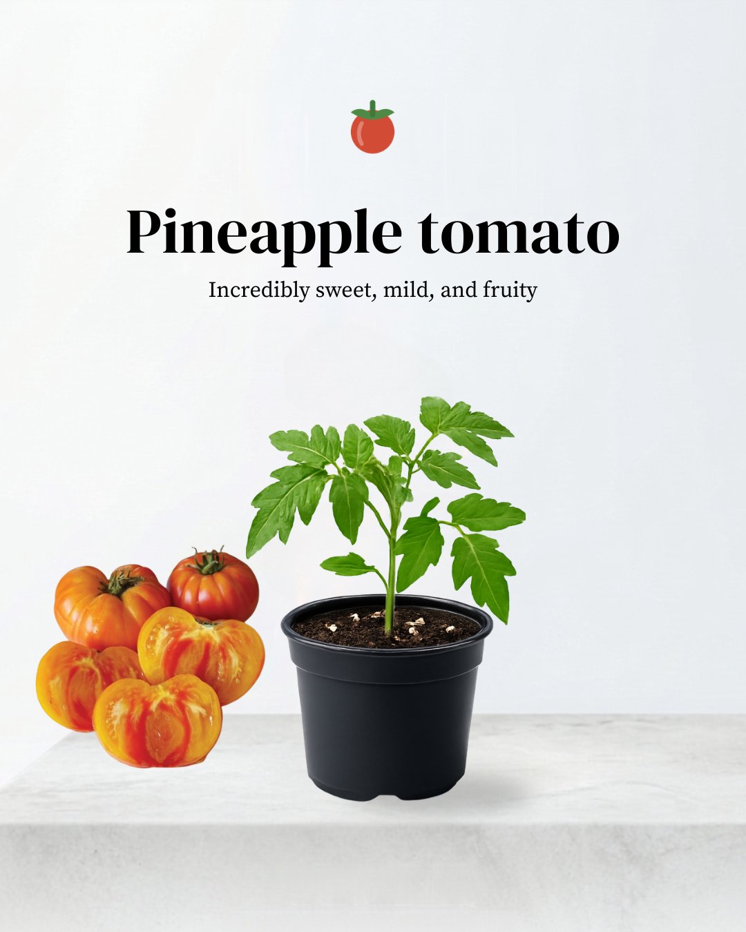 Pineapple Tomato