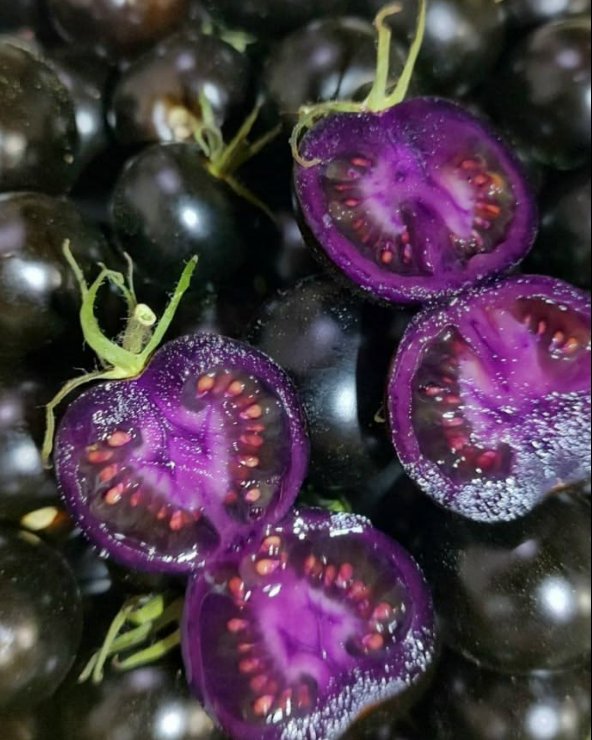 Purple Galaxy Cherry Tomato