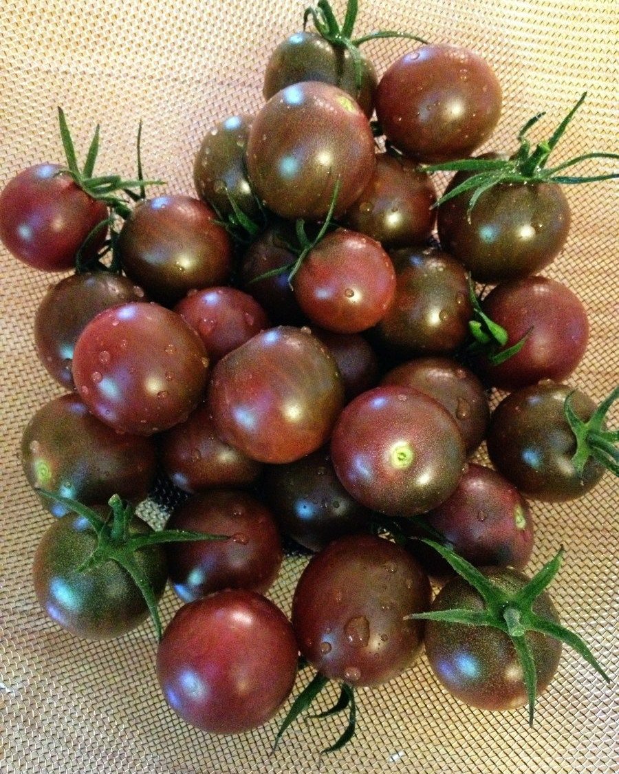 Chocolate Cherry Tomato