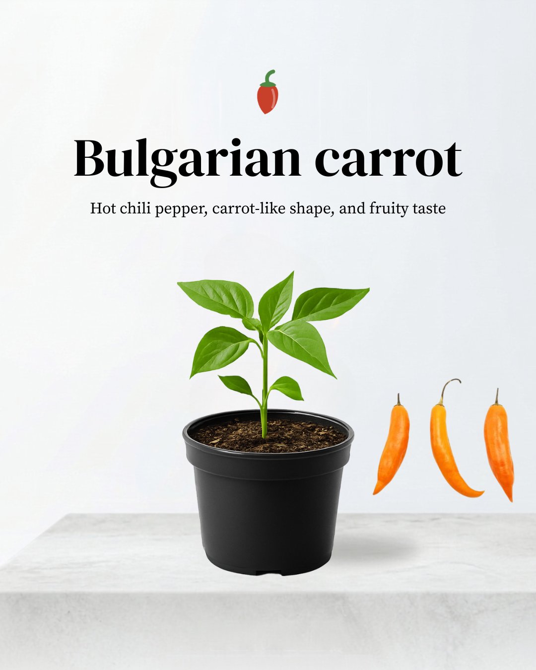 Bulgarian Carrot Peppers 