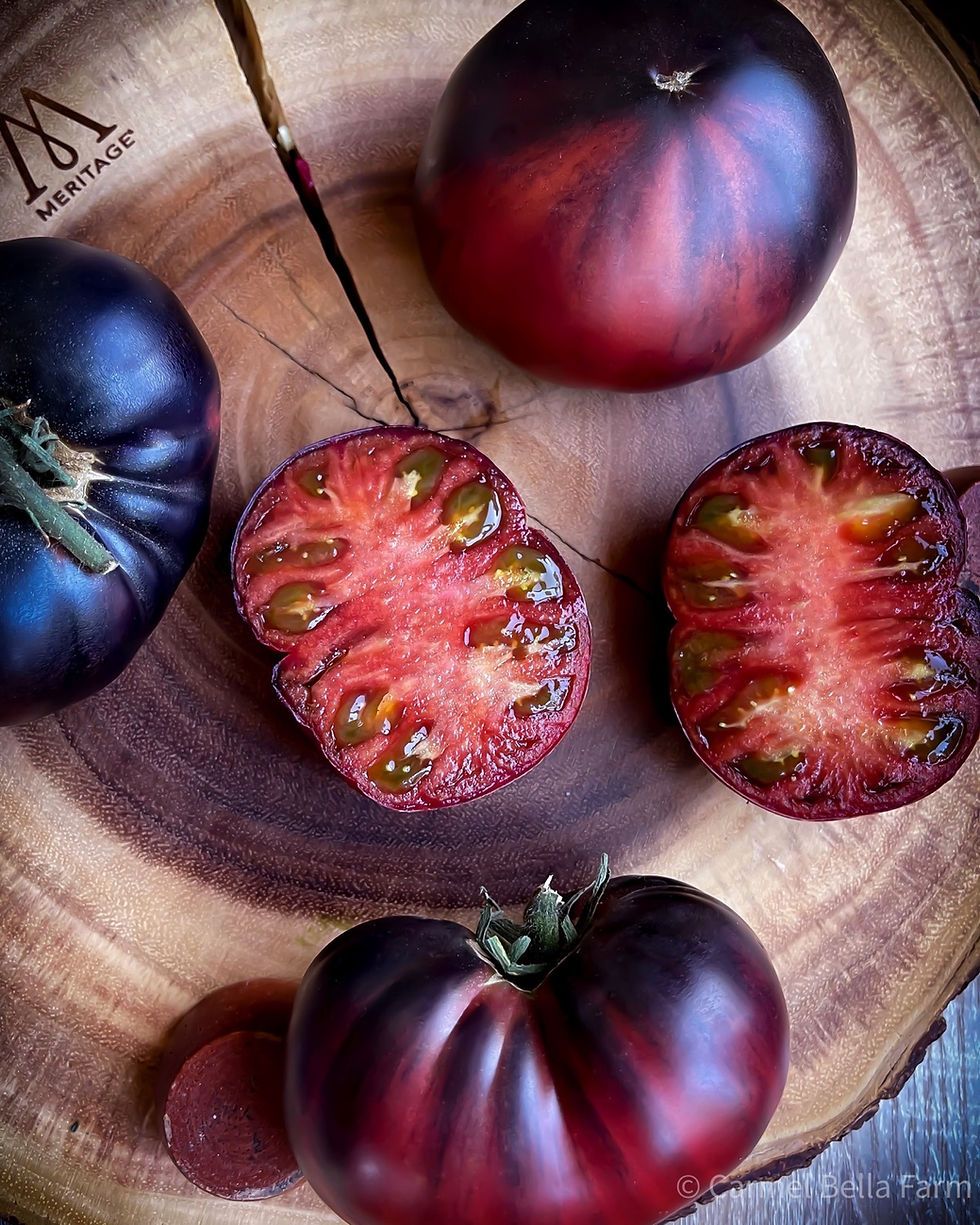 Black Beauty Tomato