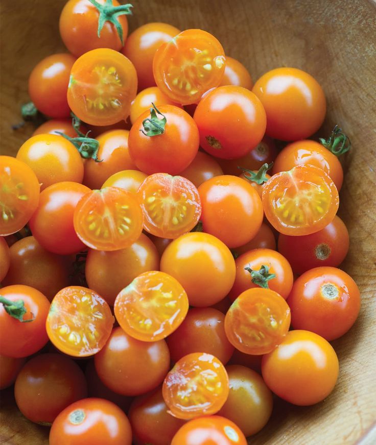 Sungold Cherry Tomato