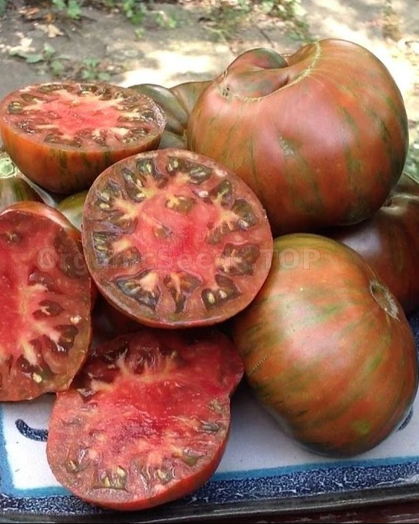 Girl Girl’s Weird Thing Tomato (GGWT)
