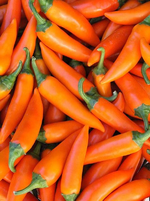 Bulgarian Carrot Peppers 