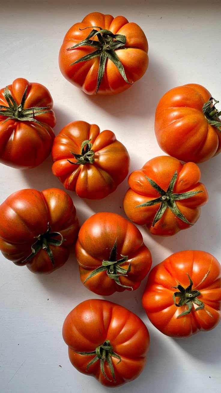 Costoluto Tomato