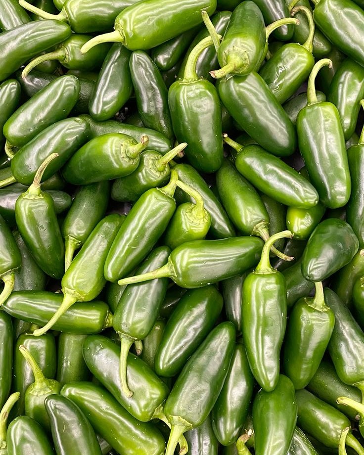 Jalapeño Pepper